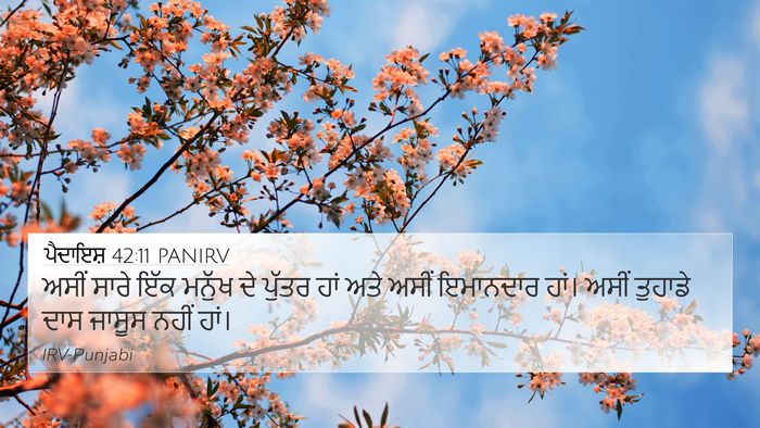 ਪੈਦਾਇਸ਼ 42:11 PANIRV Bible Verse Image