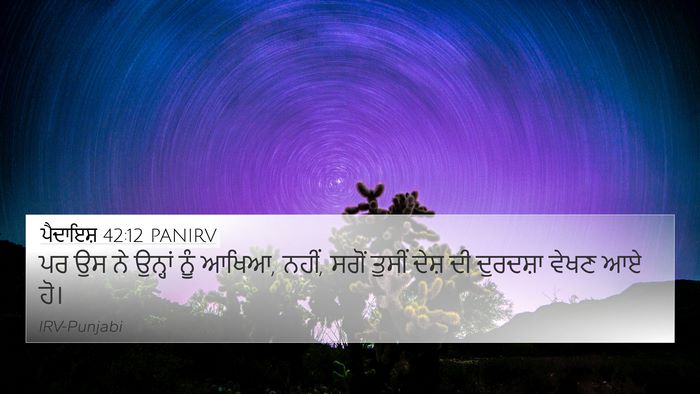 ਪੈਦਾਇਸ਼ 42:12 PANIRV Bible Verse Image