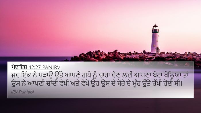ਪੈਦਾਇਸ਼ 42:27 PANIRV Bible Verse Image