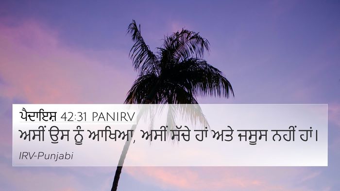 ਪੈਦਾਇਸ਼ 42:31 PANIRV Bible Verse Image