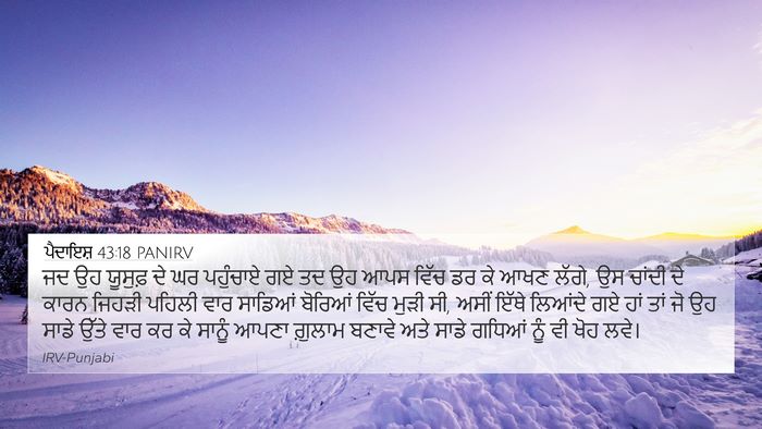 ਪੈਦਾਇਸ਼ 43:18 PANIRV Bible Verse Image