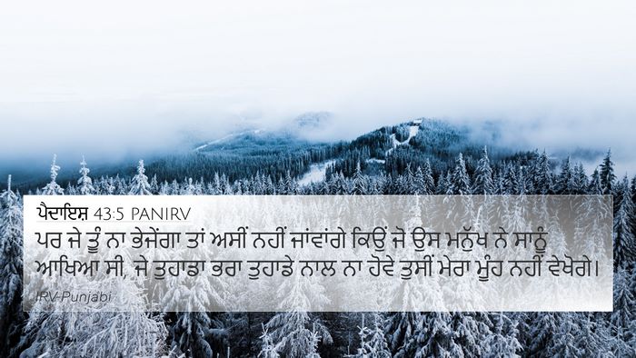 ਪੈਦਾਇਸ਼ 43:5 PANIRV Bible Verse Image