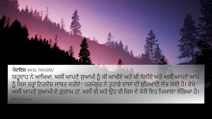 ਪੈਦਾਇਸ਼ 44:16 PANIRV Bible Verse Image