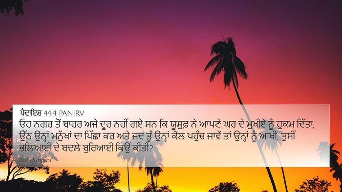 ਪੈਦਾਇਸ਼ 44:4 PANIRV Bible Verse Image