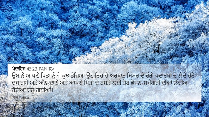 ਪੈਦਾਇਸ਼ 45:23 PANIRV 4K Wallpaper - ਉਸ ਨੇ ਆਪਣੇ ਪਿਤਾ ਨੂੰ - 4K Wallpaper Bible Verse