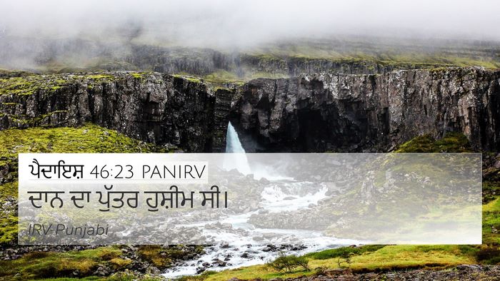ਪੈਦਾਇਸ਼ 46:23 PANIRV Bible Verse Image
