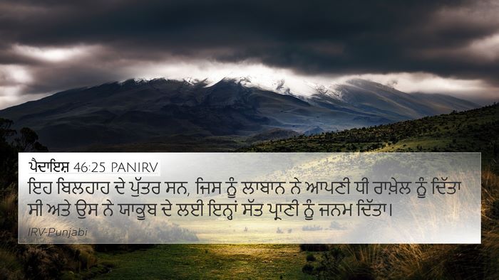 ਪੈਦਾਇਸ਼ 46:25 PANIRV 4K Wallpaper - ਇਹ ਬਿਲਹਾਹ ਦੇ ਪੁੱਤਰ - 4K Wallpaper Bible Verse