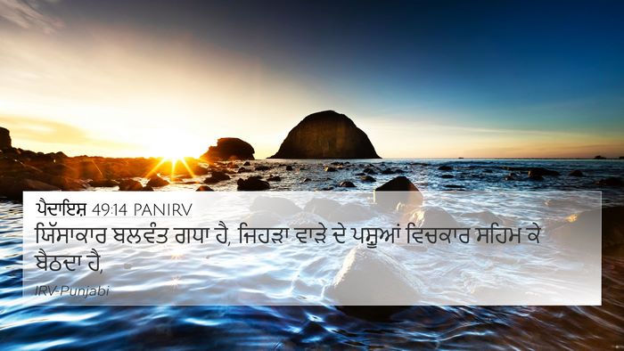 ਪੈਦਾਇਸ਼ 49:14 PANIRV Bible Verse Image