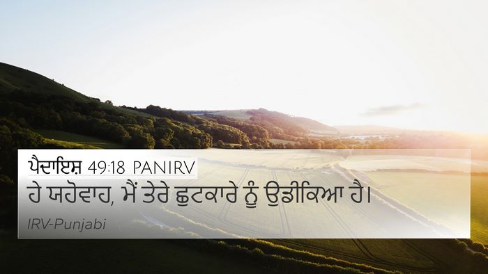 ਪੈਦਾਇਸ਼ 49:18 PANIRV Bible Verse Image