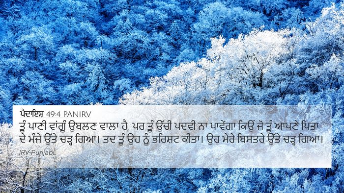ਪੈਦਾਇਸ਼ 49:4 PANIRV Bible Verse Image