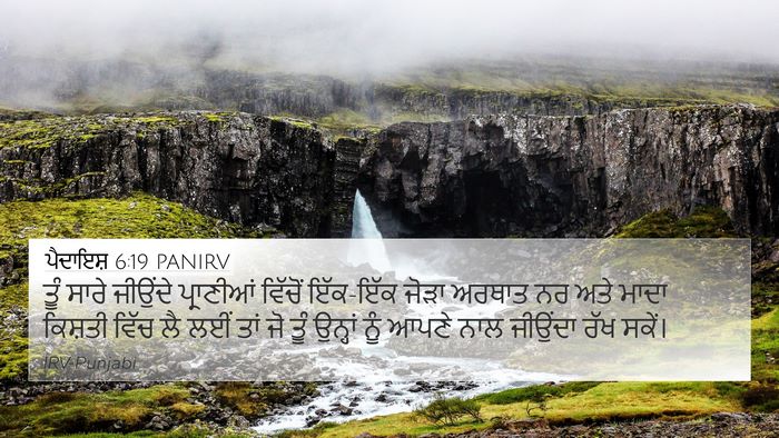 ਪੈਦਾਇਸ਼ 6:19 PANIRV Bible Verse Image