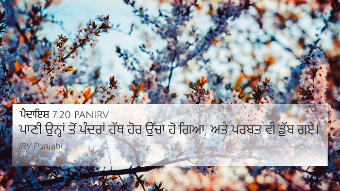 ਪੈਦਾਇਸ਼ 7:20 PANIRV 4K Wallpaper - ਪਾਣੀ ਉਨ੍ਹਾਂ ਤੋਂ - 4K Wallpaper Bible Verse