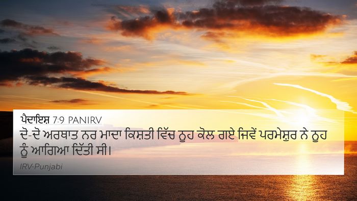 ਪੈਦਾਇਸ਼ 7:9 PANIRV 4K Wallpaper - ਦੋ-ਦੋ ਅਰਥਾਤ ਨਰ ਮਾਦਾ - 4K Wallpaper Bible Verse
