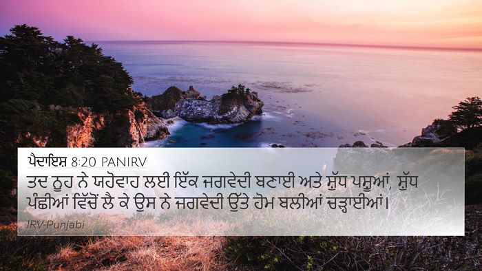 ਪੈਦਾਇਸ਼ 8:20 PANIRV Bible Verse Image