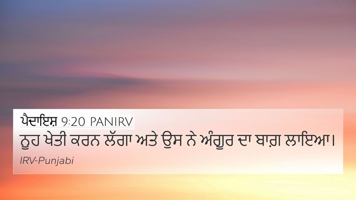 ਪੈਦਾਇਸ਼ 9:20 PANIRV Bible Verse Image