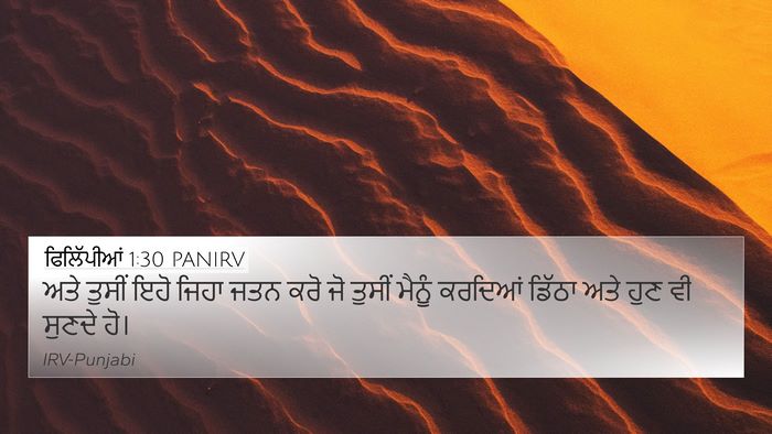 ਫਿਲਿੱਪੀਆਂ 1:30 PANIRV Bible Verse Image