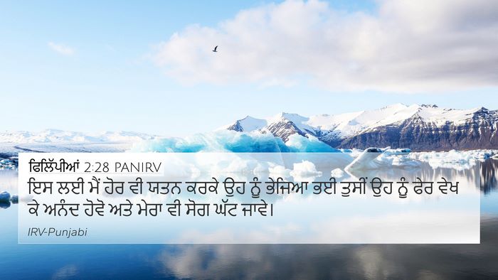 ਫਿਲਿੱਪੀਆਂ 2:28 PANIRV Bible Verse Image