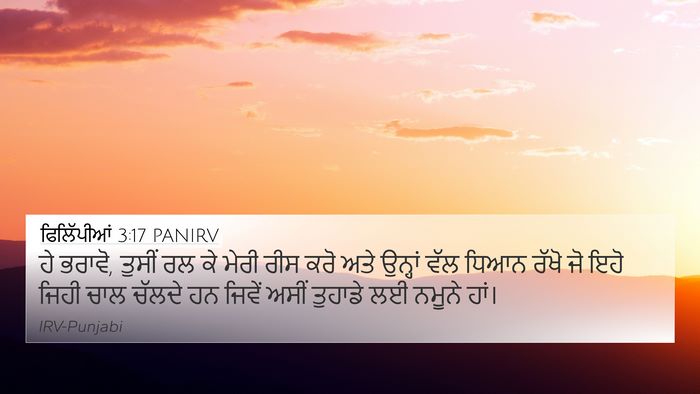 ਫਿਲਿੱਪੀਆਂ 3:17 PANIRV Bible Verse Image