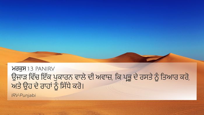 ਮਰਕੁਸ 1:3 PANIRV Bible Verse Image