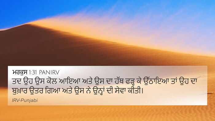 ਮਰਕੁਸ 1:31 PANIRV Bible Verse Image