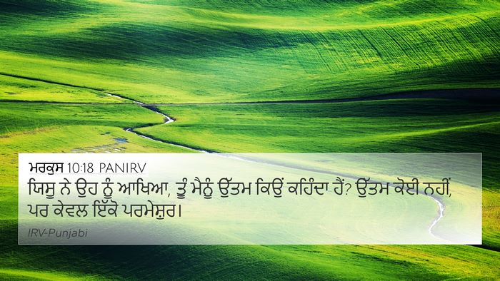 ਮਰਕੁਸ 10:18 PANIRV Bible Verse Image
