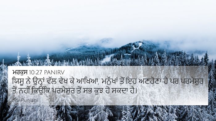 ਮਰਕੁਸ 10:27 PANIRV Bible Verse Image