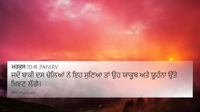 ਮਰਕੁਸ 10:41 PANIRV Bible Verse Image