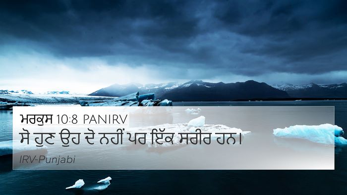 ਮਰਕੁਸ 10:8 PANIRV 4K Wallpaper - ਸੋ ਹੁਣ ਉਹ ਦੋ ਨਹੀਂ - 4K Wallpaper Bible Verse