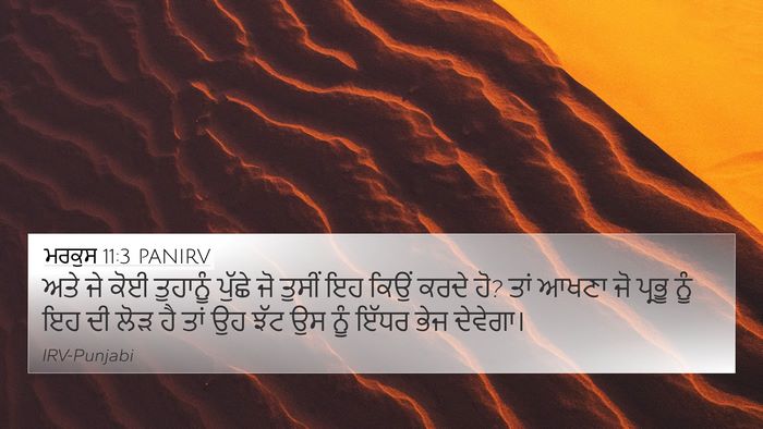 ਮਰਕੁਸ 11:3 PANIRV 4K Wallpaper - ਅਤੇ ਜੇ ਕੋਈ ਤੁਹਾਨੂੰ - 4K Wallpaper Bible Verse