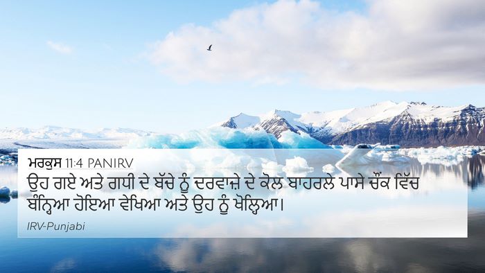 ਮਰਕੁਸ 11:4 PANIRV Bible Verse Image