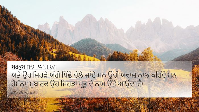 ਮਰਕੁਸ 11:9 PANIRV Bible Verse Image