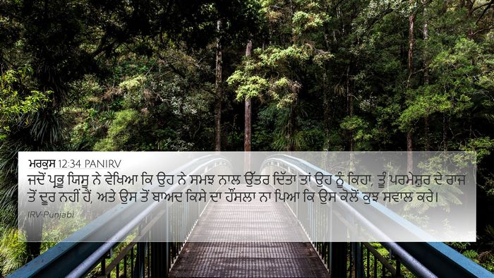 ਮਰਕੁਸ 12:34 PANIRV Bible Verse Image