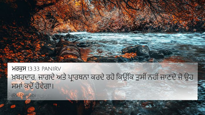 ਮਰਕੁਸ 13:33 PANIRV Bible Verse Image