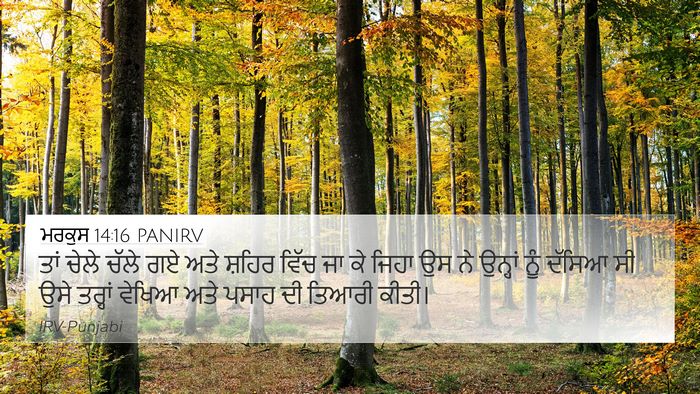 ਮਰਕੁਸ 14:16 PANIRV 4K Wallpaper - ਤਾਂ ਚੇਲੇ ਚੱਲੇ ਗਏ - 4K Wallpaper Bible Verse