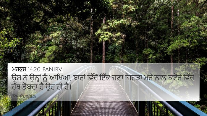 ਮਰਕੁਸ 14:20 PANIRV Bible Verse Image