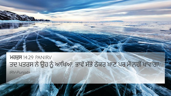 ਮਰਕੁਸ 14:29 PANIRV Bible Verse Image