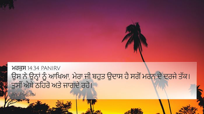 ਮਰਕੁਸ 14:34 PANIRV Bible Verse Image