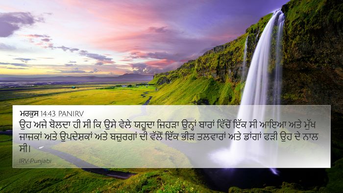ਮਰਕੁਸ 14:43 PANIRV Bible Verse Image