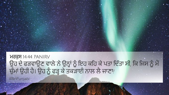 ਮਰਕੁਸ 14:44 PANIRV Bible Verse Image
