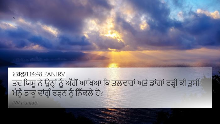 ਮਰਕੁਸ 14:48 PANIRV Bible Verse Image