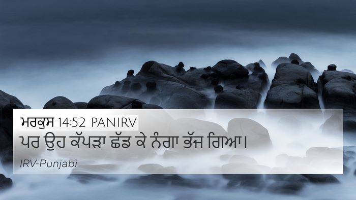 ਮਰਕੁਸ 14:52 PANIRV Bible Verse Image
