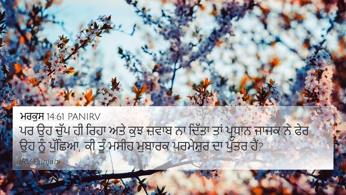 ਮਰਕੁਸ 14:61 PANIRV Bible Verse Image