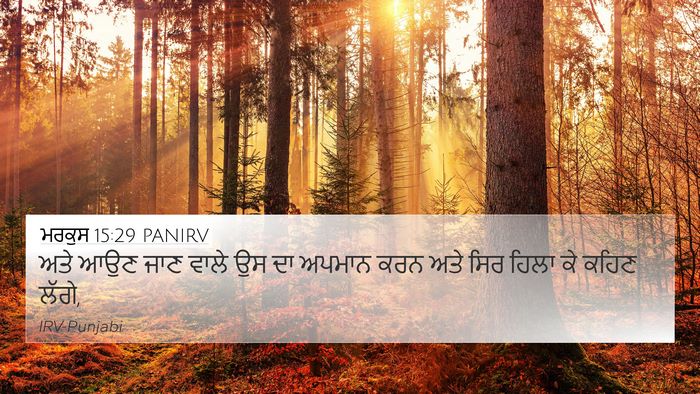 ਮਰਕੁਸ 15:29 PANIRV Bible Verse Image