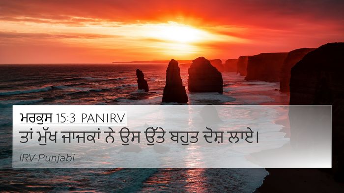 ਮਰਕੁਸ 15:3 PANIRV Bible Verse Image