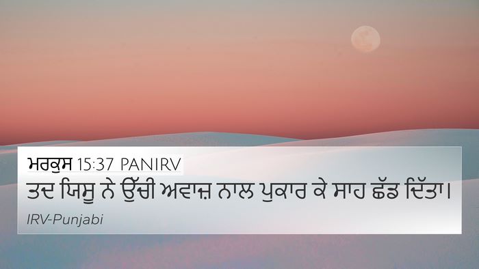 ਮਰਕੁਸ 15:37 PANIRV Bible Verse Image