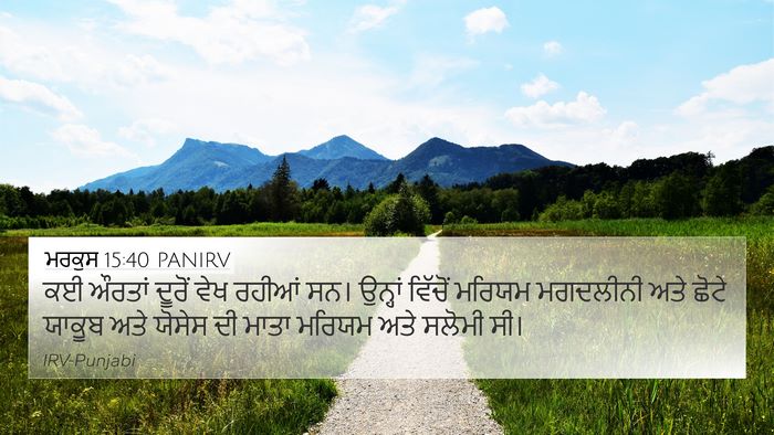 ਮਰਕੁਸ 15:40 PANIRV Bible Verse Image