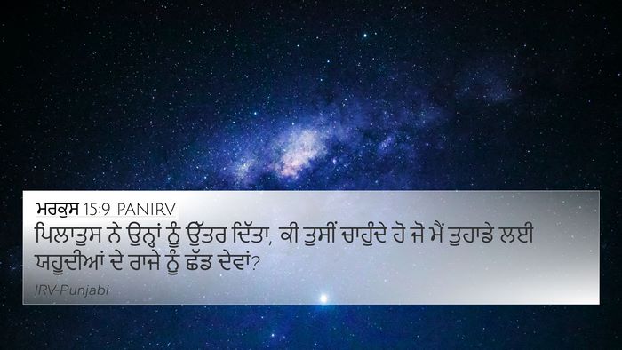 ਮਰਕੁਸ 15:9 PANIRV Bible Verse Image