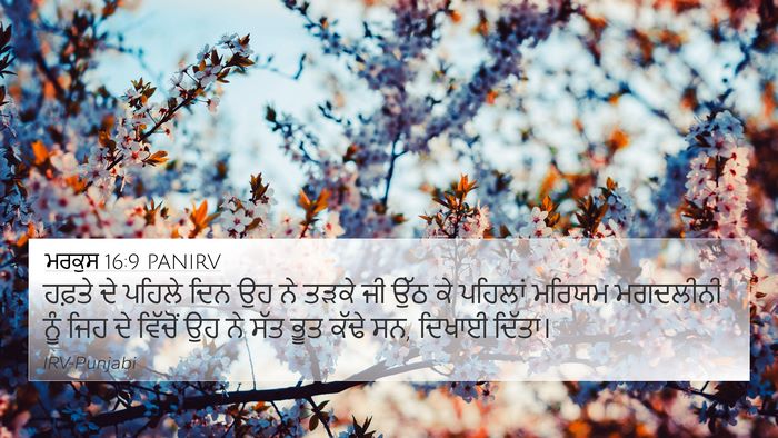 ਮਰਕੁਸ 16:9 PANIRV Bible Verse Image