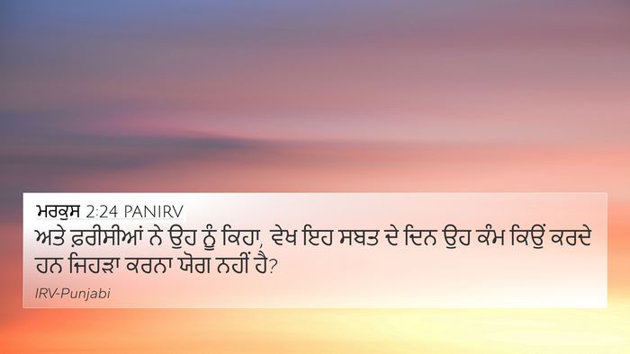 ਮਰਕੁਸ 2:24 PANIRV Bible Verse Image