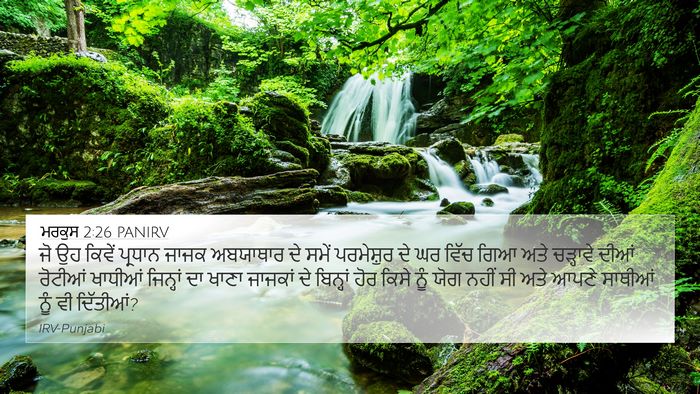 ਮਰਕੁਸ 2:26 PANIRV Bible Verse Image